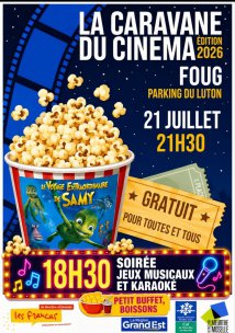 Une soirée magique sous les étoiles à Foug