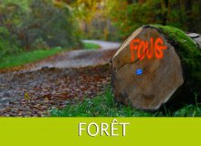 BOIS - Menus produits forestiers 2023