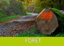 Menus produits forestiers et bois des anciens 2023/2024