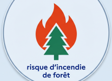 ⚠️ Alerte : Le risque d'incendie de forêt et de végétation