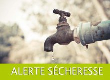 INFORMATION - ALERTE SECHERESSE juin 2022
