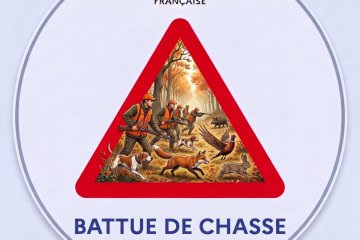 Foug : avis de battue de régulation le samedi 26 septembre 2026