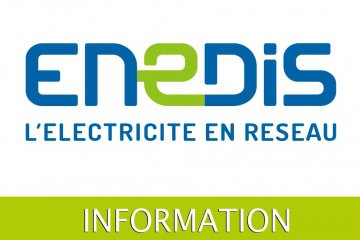 ENEDIS- Travaux d'élagage et d'abattage 2025